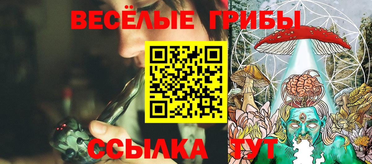 Галлюциногенные грибы ЛСД  Вход с VPN  Можга  Псилоцибиновые грибы прущие грибы 